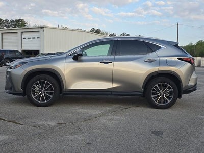 2025 Lexus NX 250 Premium