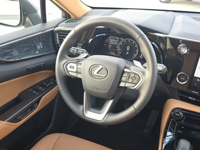 2025 Lexus NX 250 Premium