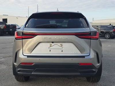 2025 Lexus NX 250 Premium