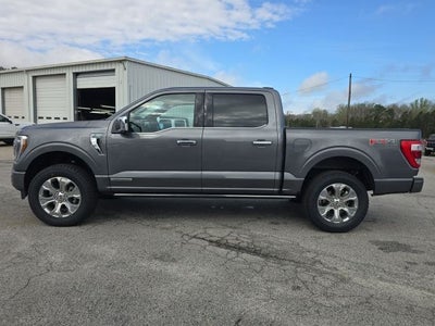 2023 Ford F-150 Platinum