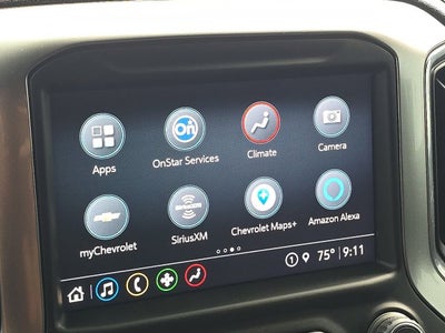 2021 Chevrolet Silverado 1500 LT Texas Edition
