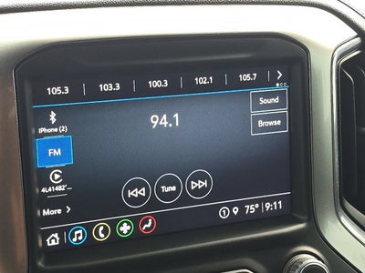 2021 Chevrolet Silverado 1500 LT Texas Edition
