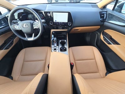 2025 Lexus NX 250 Premium