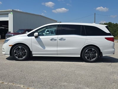 2024 Honda Odyssey Elite