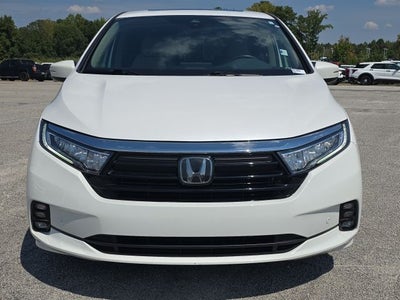 2024 Honda Odyssey Elite