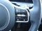 2025 Kia Sorento X-Line SX Prestige