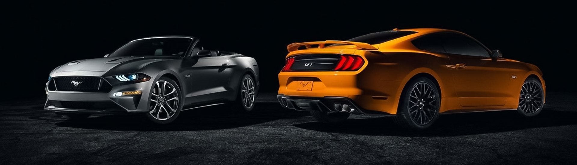 2019 Mustang